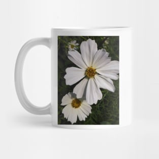 White Cosmos Flowers Mug